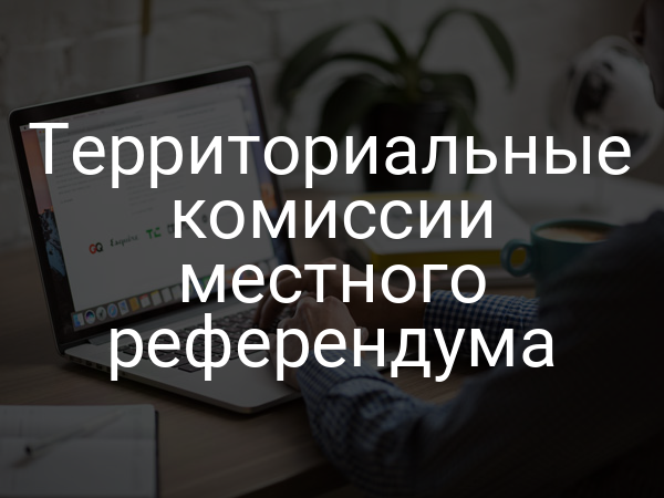 Территориальные комиссии местного референдума