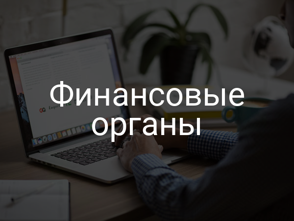 Финансовые органы