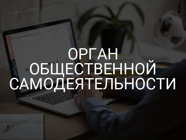 Орган общественной самодеятельности