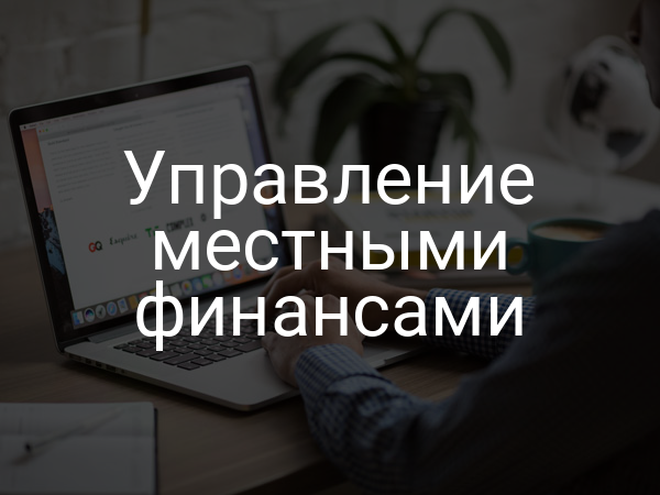 Управление местными финансами