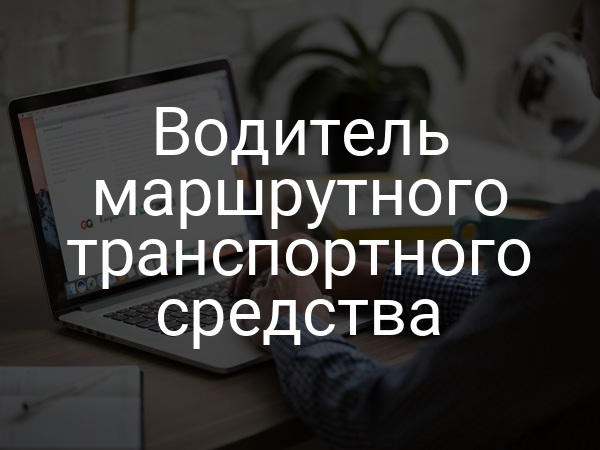 Водитель маршрутного транспортного средства