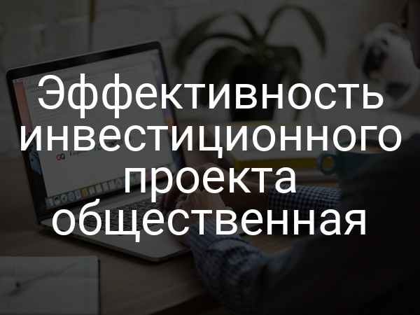 Эффективность инвестиционного проекта общественная