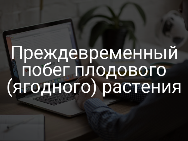 Преждевременный побег плодового (ягодного) растения