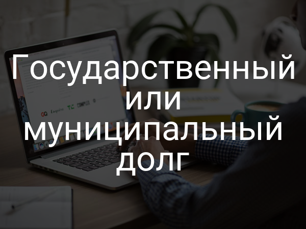 Государственный или муниципальный долг