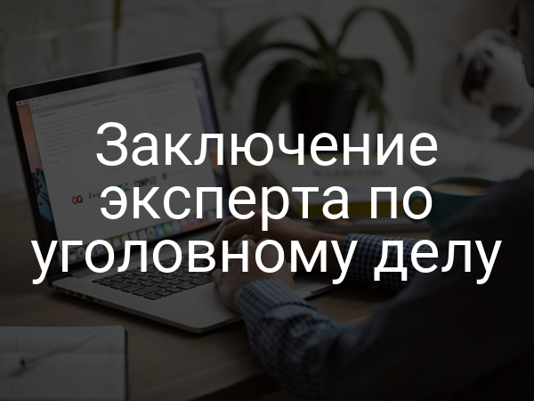 Заключение эксперта по уголовному делу