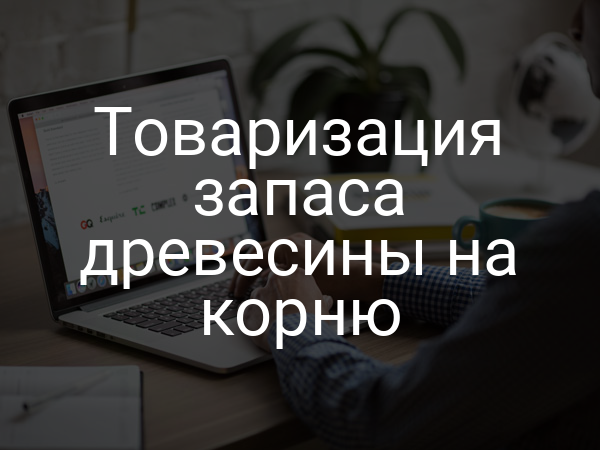 Товаризация запаса древесины на корню