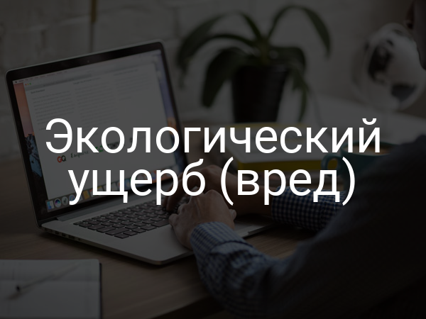 Экологический ущерб (вред)