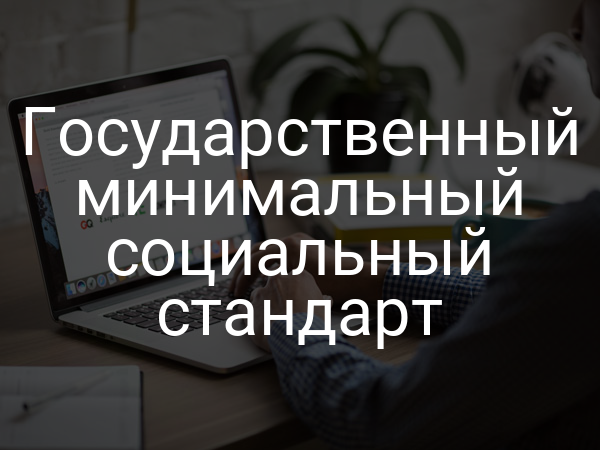 Государственный минимальный социальный стандарт