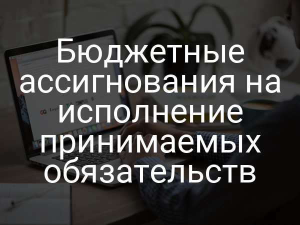 Бюджетные ассигнования на исполнение принимаемых обязательств