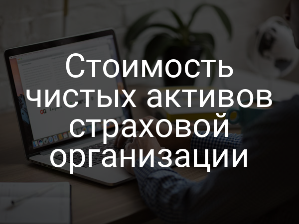 Стоимость чистых активов страховой организации