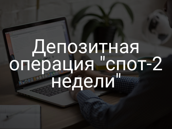 Депозитная операция "спот-2 недели"