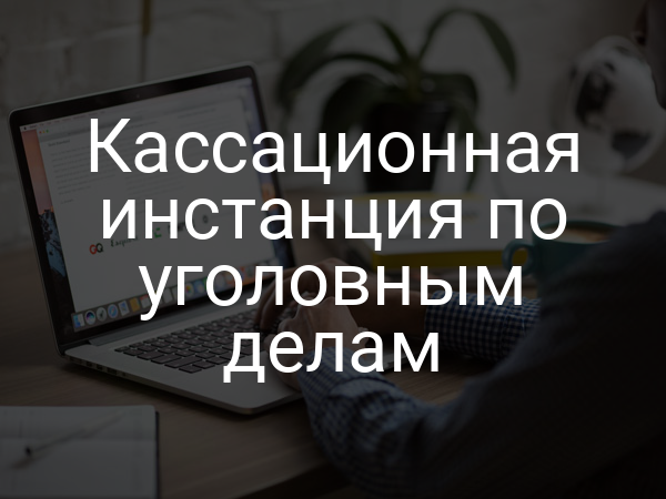 Кассационная инстанция по уголовным делам
