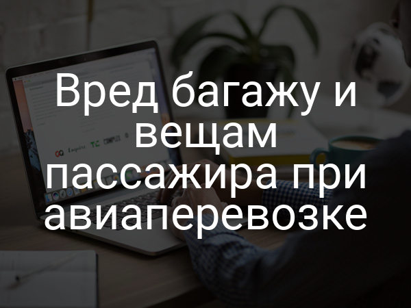 Вред багажу и вещам пассажира при авиаперевозке