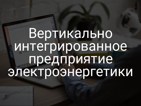 Вертикально интегрированное предприятие электроэнергетики