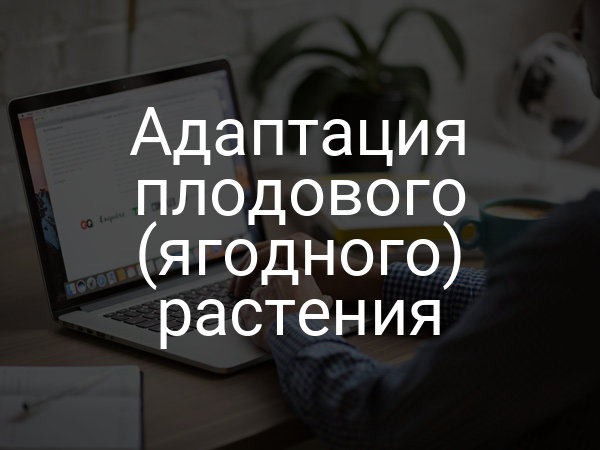 Адаптация плодового (ягодного) растения