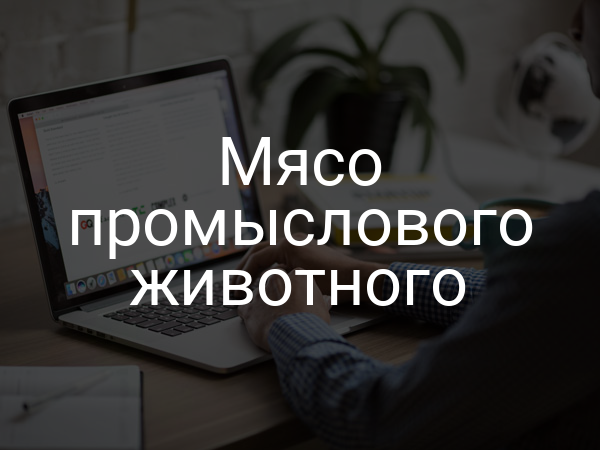 Мясо промыслового животного