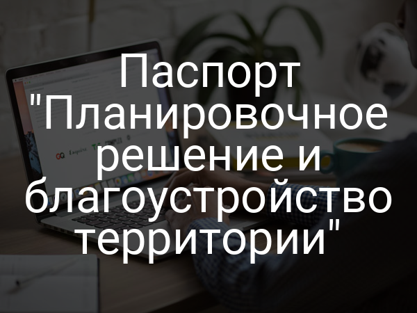 Паспорт "Планировочное решение и благоустройство территории"