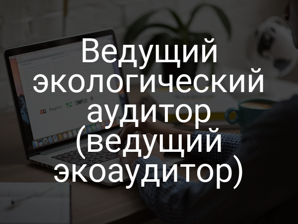 Ведущий экологический аудитор (ведущий экоаудитор)