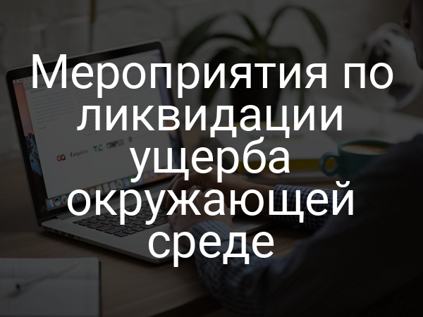 Мероприятия по ликвидации ущерба окружающей среде