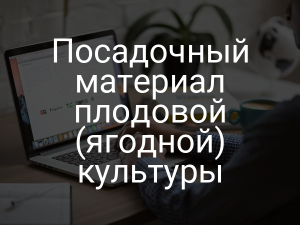 Посадочный материал плодовой (ягодной) культуры