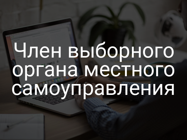 Член выборного органа местного самоуправления