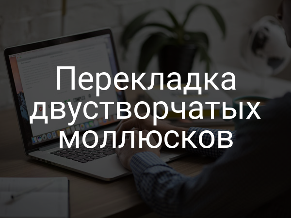 Перекладка двустворчатых моллюсков