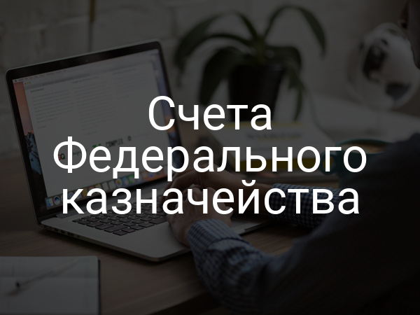Счета Федерального казначейства