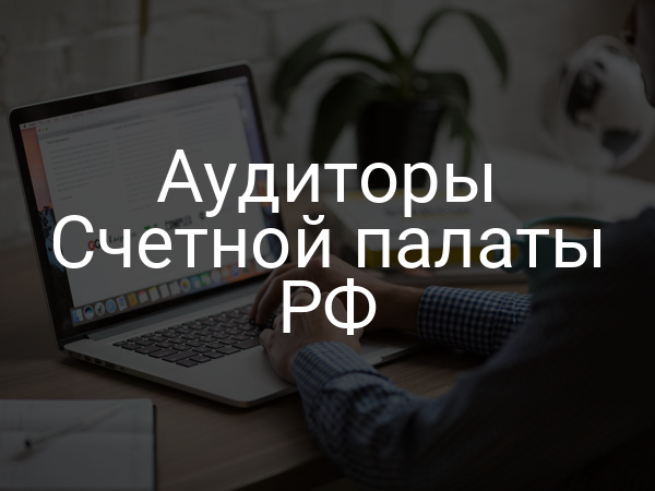 Аудиторы Счетной палаты РФ