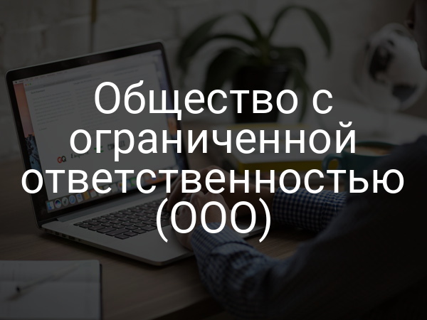 Общество с ограниченной ответственностью (ООО)