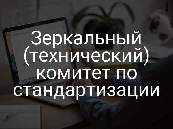 Зеркальный (технический) комитет по стандартизации