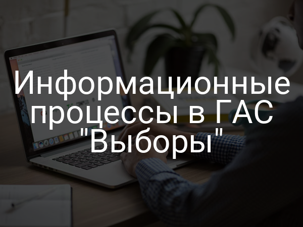 Информационные процессы в ГАС "Выборы"