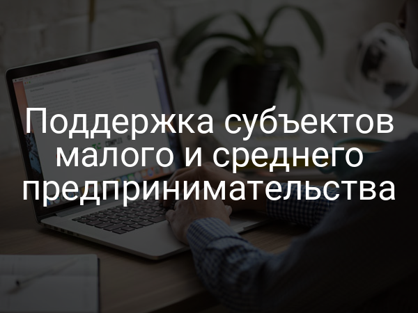 Поддержка субъектов малого и среднего предпринимательства