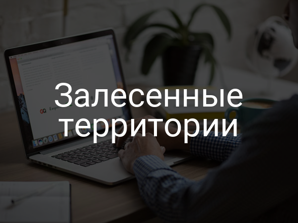 Залесенные территории