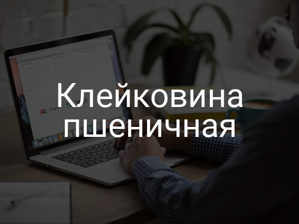 Клейковина пшеничная