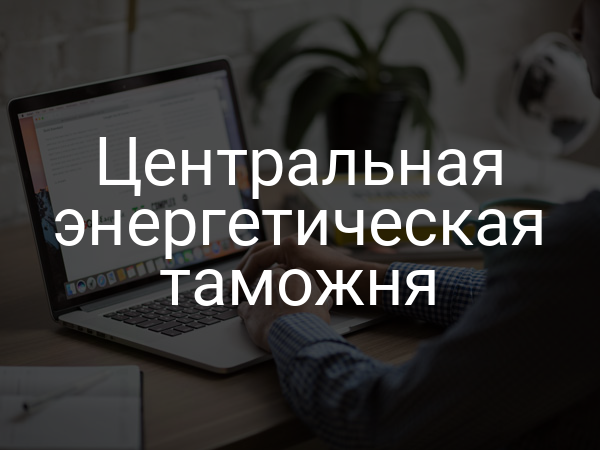 Центральная энергетическая таможня