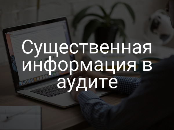 Существенная информация в аудите