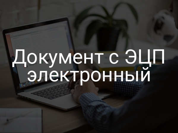 Документ с ЭЦП электронный