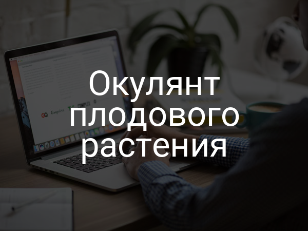 Окулянт плодового растения