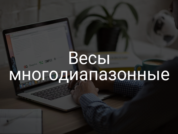 Весы многодиапазонные