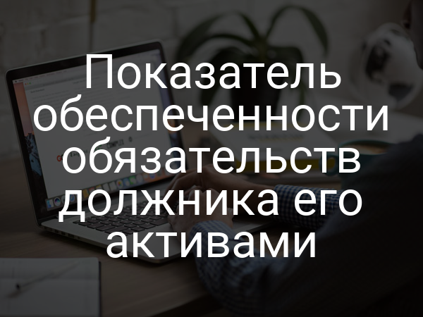 Показатель обеспеченности обязательств должника его активами