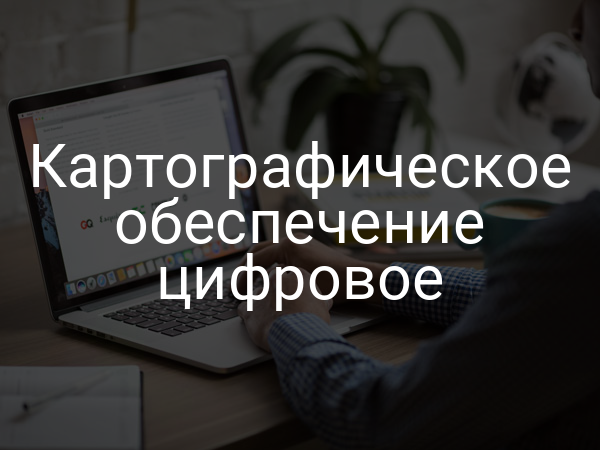 Картографическое обеспечение цифровое