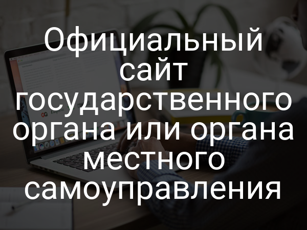 Официальный сайт государственного органа или органа местного самоуправления