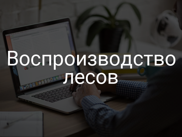 Воспроизводство лесов