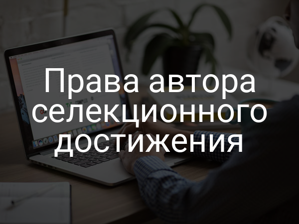 Права автора селекционного достижения