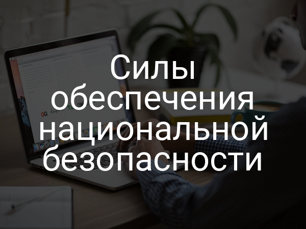 Силы обеспечения национальной безопасности