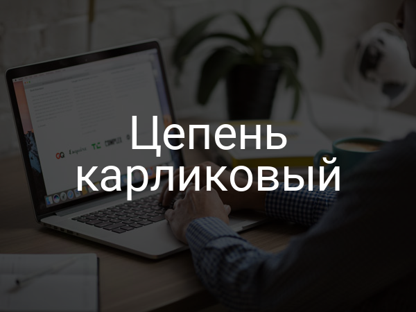 Цепень карликовый