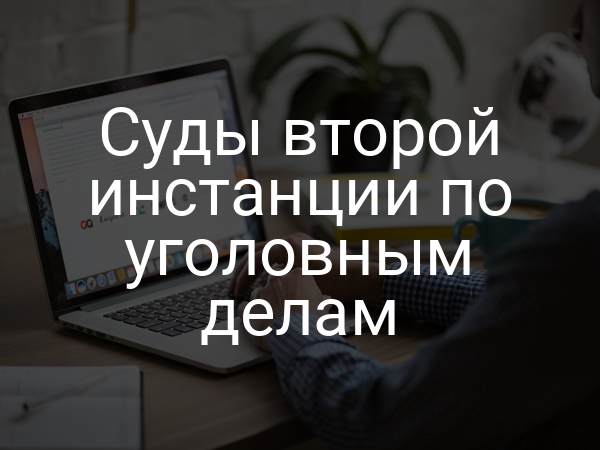 Суды второй инстанции по уголовным делам