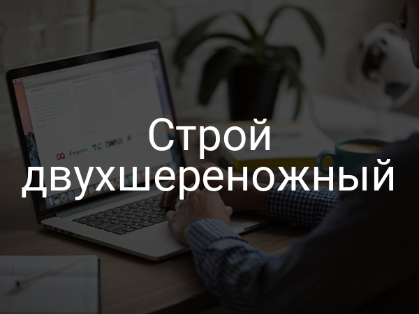 Строй двухшереножный