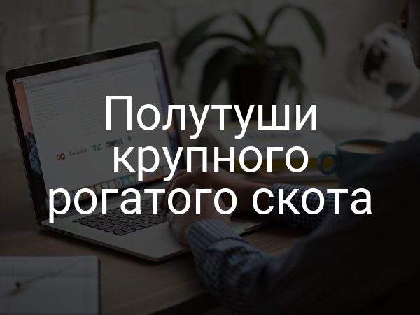 Полутуши крупного рогатого скота