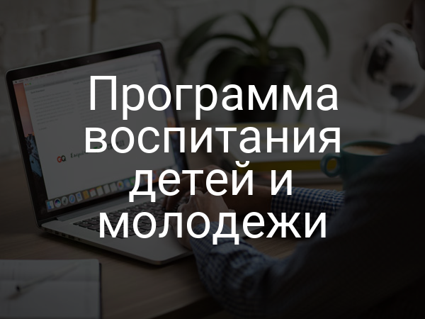 Программа воспитания детей и молодежи